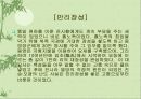 [진시황 한무제 동중서에 관하여] 12페이지
