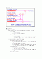 GPS & DGPS 14페이지