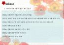 미샤의 마케팅전략과 저가화장품 산업 5페이지