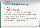 Paradise 홈페이지 서버 공격 12페이지