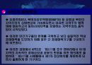 APEC의 현황과 전망(하노이) 14페이지
