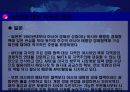 APEC의 현황과 전망(하노이) 36페이지
