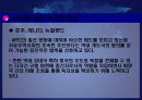 APEC의 현황과 전망(하노이) 38페이지