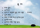 녹차에 관한 조사. 2페이지