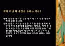 제사음식에 깃든 사상과 지역별 차이 30페이지