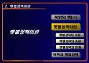 [한국문화사] 북한의 핵과 햇볕정책에 대해서 8페이지