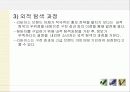 소비자행동 - 리바이스 10페이지