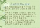 독일의 가정생활문화 7페이지