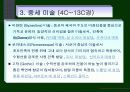 원시미술부터 로코코미술까지 서양미술의 감상 32페이지