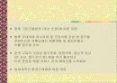 웰빙well-being문화의 정의와 전망 47페이지