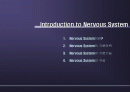 Nervous System 2페이지