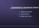 Nervous System 5페이지