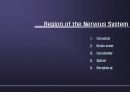 Nervous System 7페이지