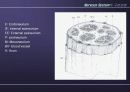 Nervous System 13페이지