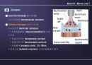 Nervous System 19페이지