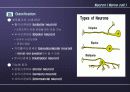 Nervous System 21페이지