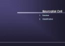 Nervous System 22페이지