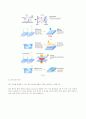 TFT LCD(Thin Film Transistor Liquid Crystal Display) 49페이지