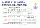 다국적 기업의 이론과 사례 10페이지