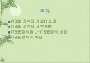 [산업정책론] IT 839 정책에 대해서 2페이지
