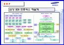 [경영학] 삼성 SDI 생산전략 25페이지