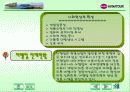 하나투어(swot분석)파워포인트 5페이지