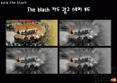 현대카드the black의 마케팅 광고 분석 및 계획 34페이지