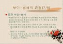 부인-봉쇄란 무엇인가? 12페이지