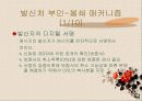 부인-봉쇄란 무엇인가? 19페이지