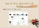 부인-봉쇄란 무엇인가? 20페이지