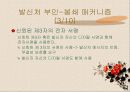 부인-봉쇄란 무엇인가? 21페이지