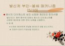 부인-봉쇄란 무엇인가? 23페이지