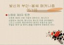 부인-봉쇄란 무엇인가? 24페이지