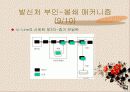 부인-봉쇄란 무엇인가? 27페이지