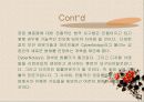 부인-봉쇄란 무엇인가? 40페이지