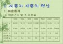 이혼과 재혼 3페이지