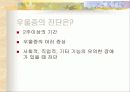 주부 우울증의 이해와 예방책 13페이지