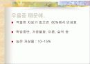 주부 우울증의 이해와 예방책 15페이지