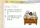 주부 우울증의 이해와 예방책 18페이지
