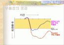 주부 우울증의 이해와 예방책 28페이지