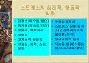 직무 스트레스 11페이지