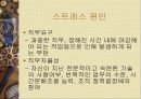 직무 스트레스 14페이지