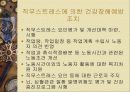 직무 스트레스 53페이지