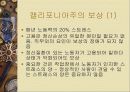 직무 스트레스 58페이지