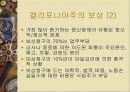 직무 스트레스 59페이지