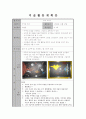 미술활동 2페이지