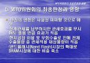 하이닉스의 보조금과 상계관세 17페이지