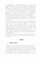 P2P시스템 수용에 관한 연구 11페이지