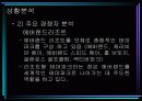 롯데월드의 분석과 마케팅 전략수립(A+레포트) 5페이지