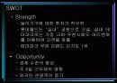 롯데월드의 분석과 마케팅 전략수립(A+레포트) 10페이지